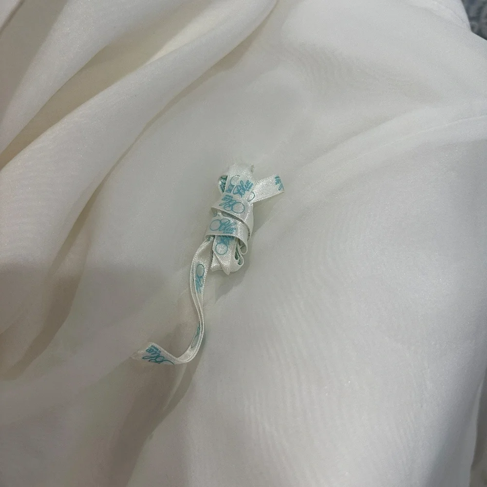 Wedding Dress by ENZOANI - Picture 7 of 16